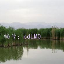 ½
