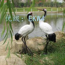 ʵ